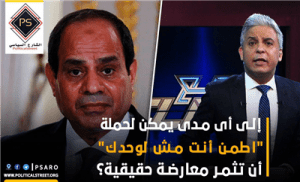 إلى أى مدى يمكن لحملة “اطمن أنت مش لوحدك” أن تثمر معارضة حقيقية؟