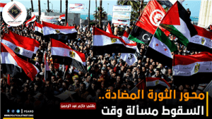 محور الثورة المضادة.. السقوط مسألة وقت