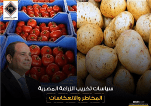 سياسات تخريب الزراعة المصرية .. المخاطر والانعكاسات
