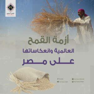 أزمة القمح العالمية وانعكاساتها على مصر