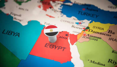 قراءة تحليلية للسياسة الخارجية المصرية خلال الفترة من 24 يناير حتى 1 فبراير 2022