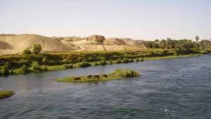 علاقات مصر بدول حوض النيل في ظل تفاعلات القرن الإفريقي