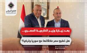 بعد زيارة وزير الخارجية المصري… هل تطبع مصر علاقاتها مع سوريا وتركيا؟