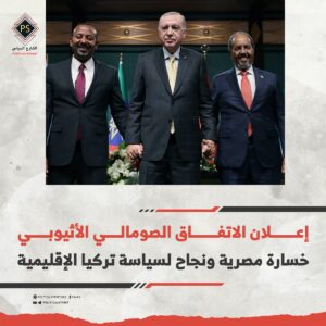 إعلان الاتفاق الصومالي الأثيوبي.. خسارة مصرية ونجاح لسياسة تركيا الإقليمية