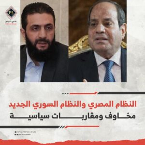 النظام المصري والنظام السوري الجديد: مخاوف ومقاربات سياسية