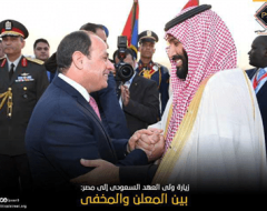 زيارة ولى العهد السعودي الى مصر : بين المعلن والمخفي