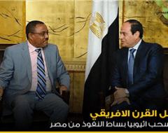 مستقبل القرن الافريقي في ظل سحب اثيوبيا بساط النفوذ من مصر