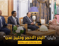 كيان “البحر الاحمر وخليج عدن” .. اسرار وخفايا غير معلنة