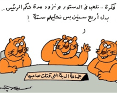 النظام المصري  بين مطرقة الانتخابات وسندان الدستور