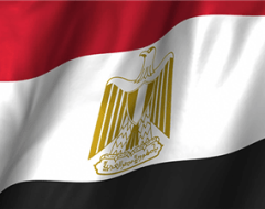 المشهد السياسي في الفترة من 8 إلى 14 فبراير