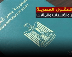 نزيف العقول المصرية .. المظاهر والأسباب والمآلات