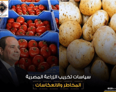 سياسات تخريب الزراعة المصرية .. المخاطر والانعكاسات