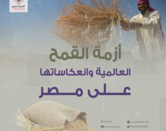 أزمة القمح العالمية وانعكاساتها على مصر