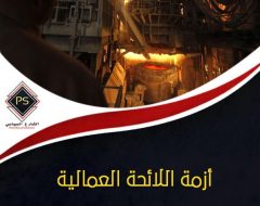 أزمة اللائحة العمالية الموحدة لعمال “قطاع الأعمال”.. الخصخصة عبر الصندوق السيادي في النفاصيل!