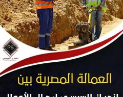 العمالة المصرية بين  انحياز السيسي لرجال الأعمال والخوف من انتشار الوباء