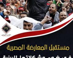 مستقبل المعارضة المصرية في ضوء مشكلاتها البينية وعلاقتها مع النظام